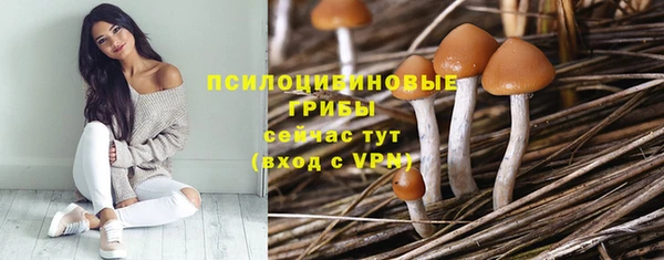 jwh Ладушкин