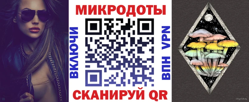 Купить  Починок  Псилоцибиновые грибы Psilocybe 
